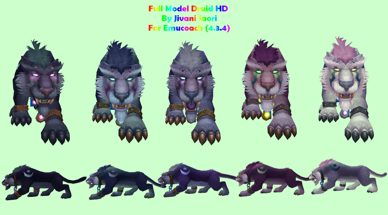 DruideCatNightElf.png